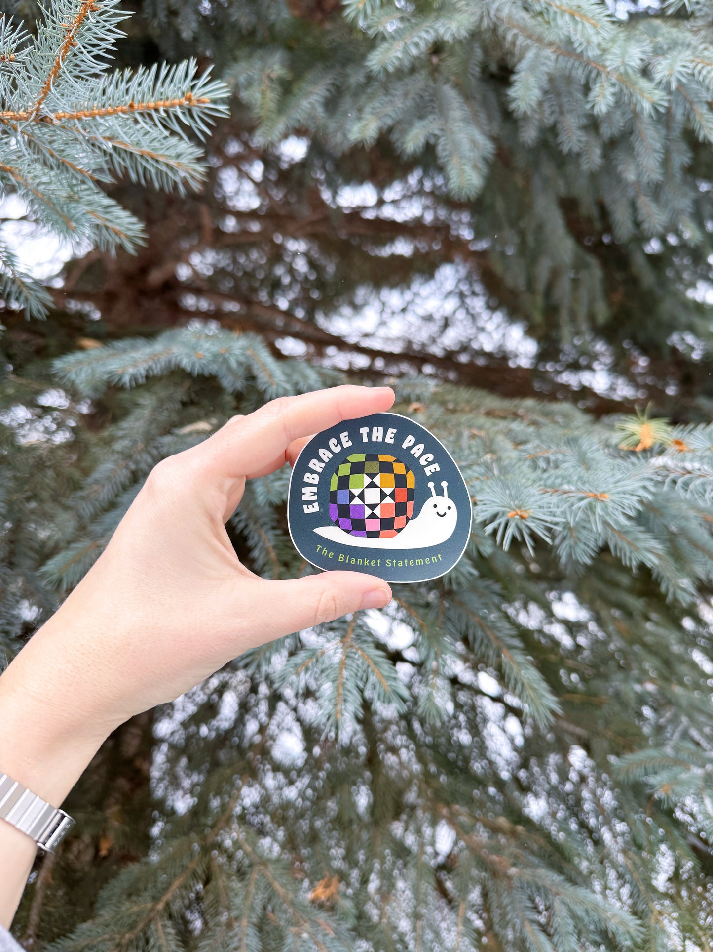 "Embrace the Pace" Vinyl Sticker