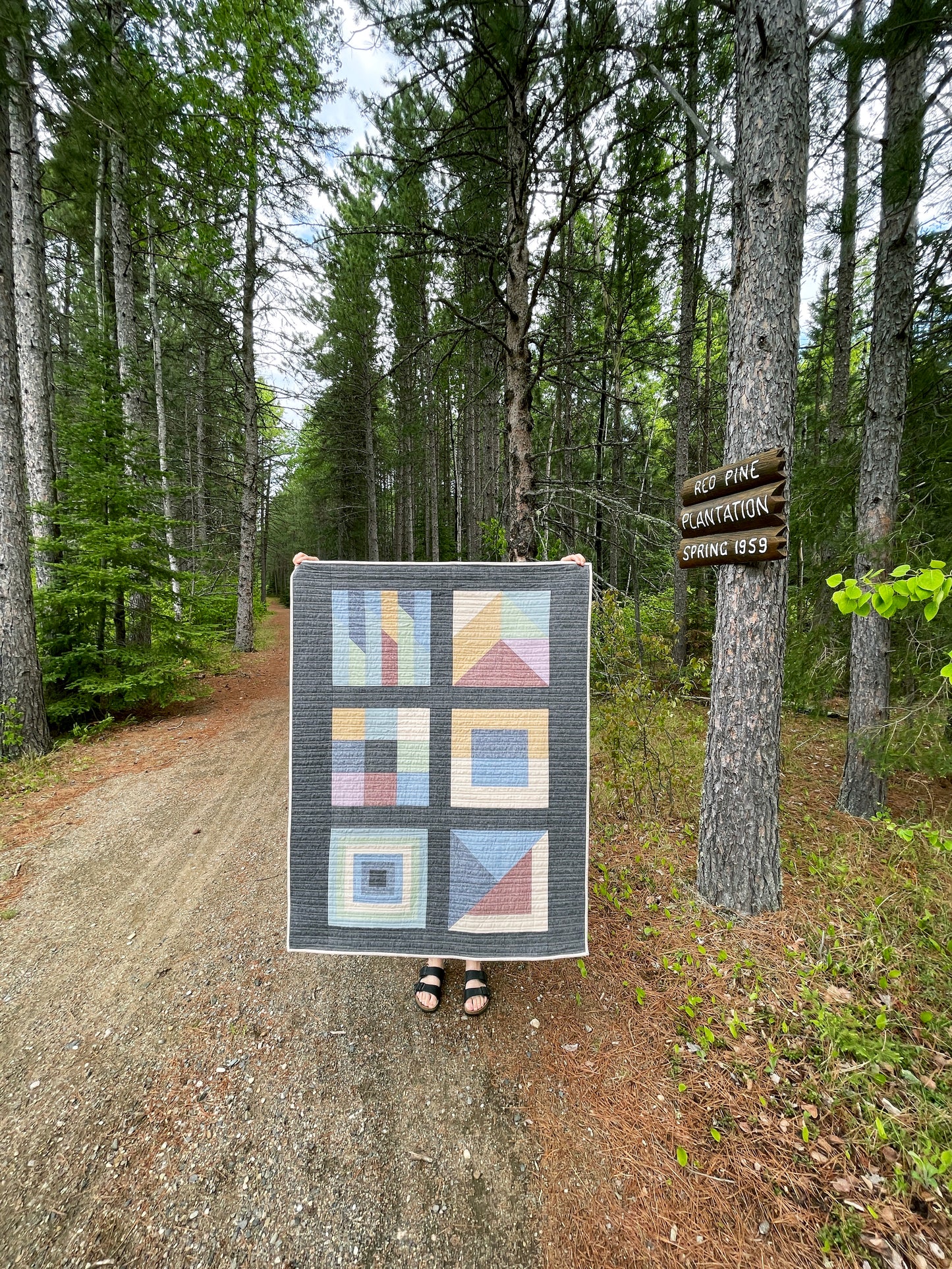 Boreal Forest Paper Pattern